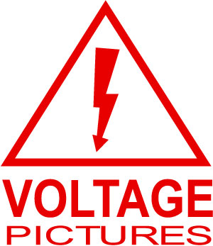 voltage